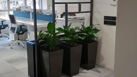 Alt Standing al centre de Girona